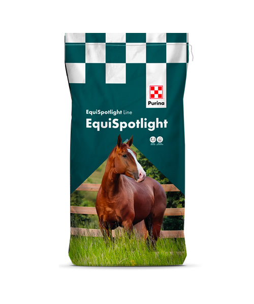 ACTIVE - Linea EQUISPOTLIGHT