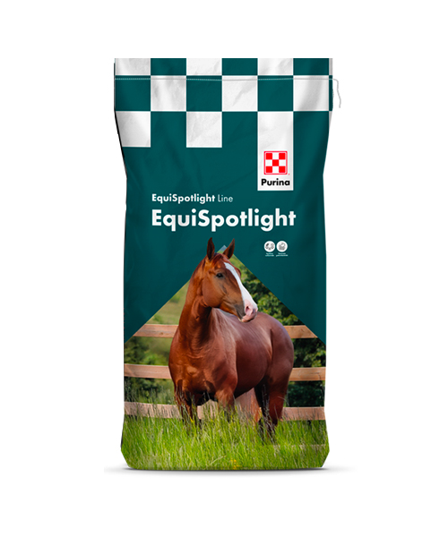 ELITE - Linea EQUISPOTLIGHT