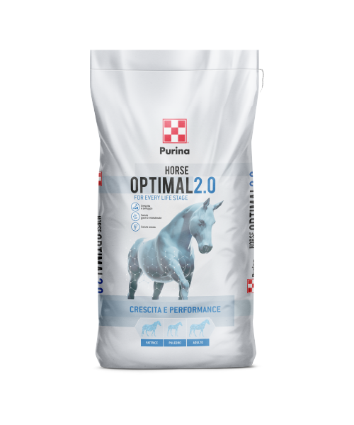 OPTIMAL 2.0
