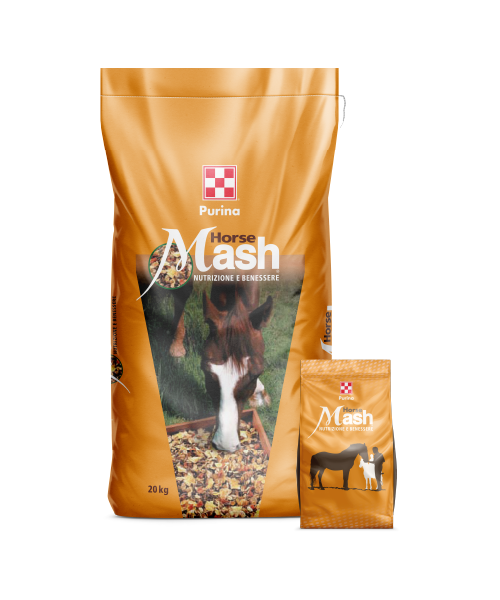 MASH