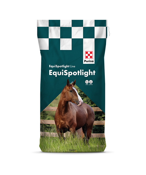 ELITE - Linea EQUISPOTLIGHT