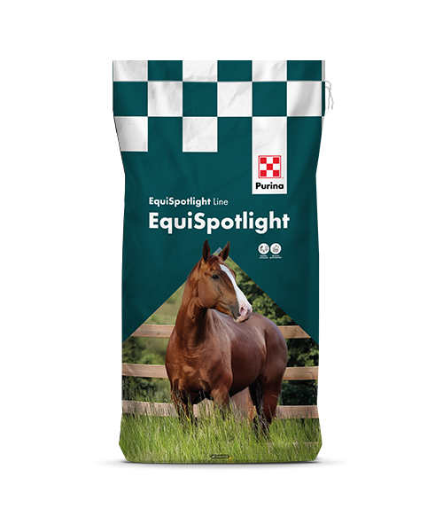 ACTIVE - Linea EQUISPOTLIGHT